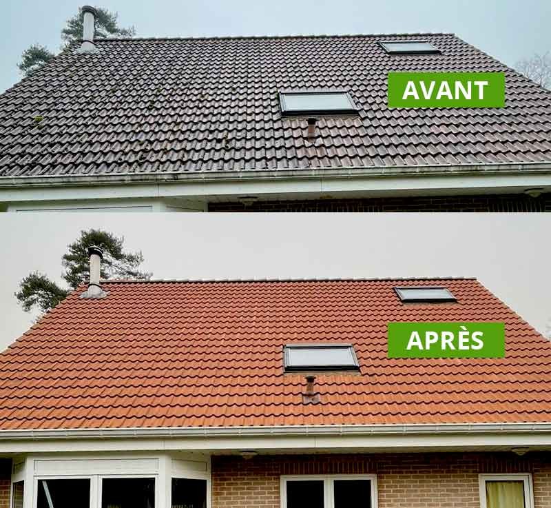 Traitement anti mousse